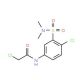 2-Chloro-N-(4-chloro-3-dimethylsulfamoyl-phenyl)-acetamide - chemical structure image
