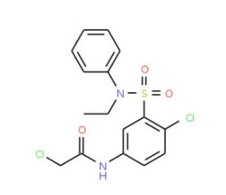 2-Chloro-N-[4-chloro-3-(ethyl-phenyl-sulfamoyl)-phenyl]-acetamide - chemical structure image