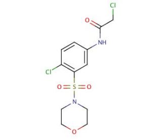 2-Chloro-N-[4-chloro-3-(morpholine-4-sulfonyl)-phenyl]-acetamide - chemical structure image