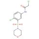 2-Chloro-N-[4-chloro-3-(morpholine-4-sulfonyl)-phenyl]-acetamide - chemical structure image