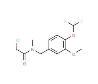 2-chloro-N-[4-(difluoromethoxy)-3-methoxybenzyl]-N-methylacetamide - chemical structure image