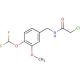 2-chloro-N-[4-(difluoromethoxy)-3-methoxybenzyl]acetamide - chemical structure image