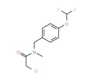 2-chloro-N-[4-(difluoromethoxy)benzyl]-N-methylacetamide (CAS 851903-50-9) - chemical structure image