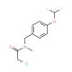 2-chloro-N-[4-(difluoromethoxy)benzyl]-N-methylacetamide (CAS 851903-50-9) - chemical structure image