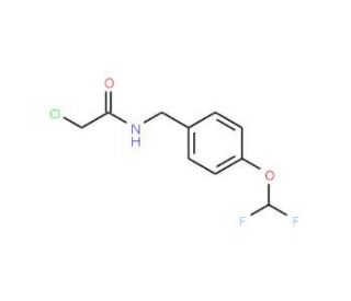 2-chloro-N-[4-(difluoromethoxy)benzyl]acetamide - chemical structure image