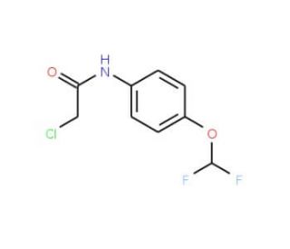 2-Chloro-N-(4-difluoromethoxy-phenyl)-acetamide - chemical structure image