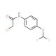 2-Chloro-N-(4-difluoromethoxy-phenyl)-acetamide - chemical structure image
