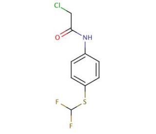 2-Chloro-N-(4-difluoromethylsulfanyl-phenyl)-acetamide - chemical structure image
