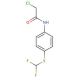 2-Chloro-N-(4-difluoromethylsulfanyl-phenyl)-acetamide - chemical structure image