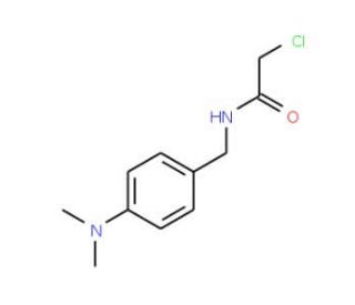 2-chloro-N-[4-(dimethylamino)benzyl]acetamide (CAS 57678-38-3) - chemical structure image