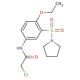 2-chloro-N-[4-ethoxy-3-(pyrrolidin-1-ylsulfonyl)phenyl]acetamide - chemical structure image