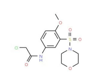 2-Chloro-N-[4-methoxy-2-(morpholine-4-sulfonyl)-phenyl]-acetamide - chemical structure image