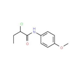 2-chloro-N-(4-methoxyphenyl)butanamide (CAS 915922-30-4) - chemical structure image