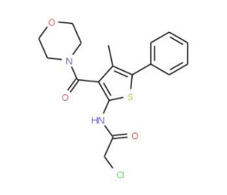 2-chloro-N-[4-methyl-3-(morpholin-4-ylcarbonyl)-5-phenylthien-2-yl]acetamide - chemical structure image