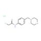 2-chloro-N-[4-(morpholin-4-ylmethyl)phenyl]acetamide hydrochloride - chemical structure image