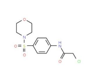 2-Chloro-N-[4-(morpholine-4-sulfonyl)-phenyl]-acetamide (CAS 35959-60-5) - chemical structure image