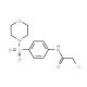 2-Chloro-N-[4-(morpholine-4-sulfonyl)-phenyl]-acetamide (CAS 35959-60-5) - chemical structure image