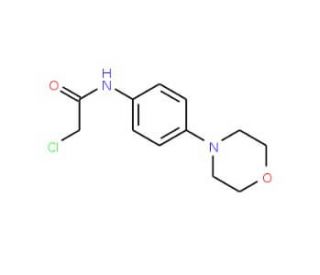 2-Chloro-N-(4-morpholinophenyl)acetamide (CAS 170655-46-6) - chemical structure image