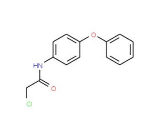 2-chloro-N-(4-phenoxyphenyl)acetamide - chemical structure image