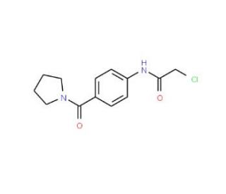 2-Chloro-N-[4-(pyrrolidin-1-ylcarbonyl)phenyl]-acetamide - chemical structure image