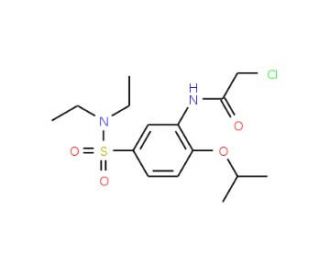 2-chloro-N-{5-[(diethylamino)sulfonyl]-2-isopropoxyphenyl}acetamide - chemical structure image