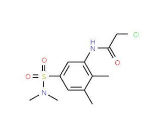 2-chloro-N-{5-[(dimethylamino)sulfonyl]-2,3-dimethylphenyl}acetamide - chemical structure image