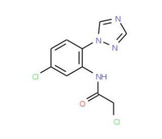 2-chloro-N-[5-chloro-2-(1H-1,2,4-triazol-1-yl)phenyl]acetamide - chemical structure image