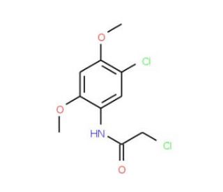 2-chloro-N-(5-chloro-2,4-dimethoxyphenyl)acetamide (CAS 23543-12-6) - chemical structure image
