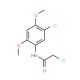 2-chloro-N-(5-chloro-2,4-dimethoxyphenyl)acetamide (CAS 23543-12-6) - chemical structure image