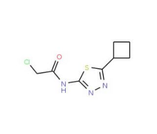 2-Chloro-N-(5-cyclobutyl-[1,3,4]thiadiazol-2-yl)-acetamide (CAS 878668-04-3) - chemical structure image