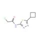 2-Chloro-N-(5-cyclobutyl-[1,3,4]thiadiazol-2-yl)-acetamide (CAS 878668-04-3) - chemical structure image