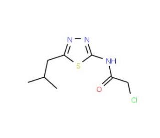 2-Chloro-N-(5-isobutyl-[1,3,4]thiadiazol-2-yl)-acetamide (CAS 15777-46-5) - chemical structure image