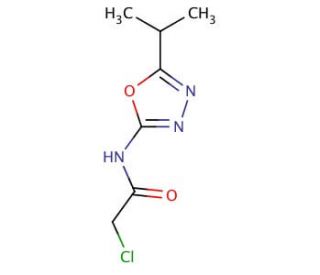 2-chloro-N-(5-isopropyl-1,3,4-oxadiazol-2-yl)acetamide - chemical structure image