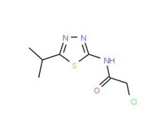 2-Chloro-N-(5-isopropyl-[1,3,4]thiadiazol-2-yl)-acetamide - chemical structure image