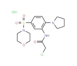 2-chloro-N-[5-(morpholin-4-ylsulfonyl)-2-pyrrolidin-1-ylphenyl]acetamide hydrochloride - chemical structure image