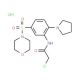 2-chloro-N-[5-(morpholin-4-ylsulfonyl)-2-pyrrolidin-1-ylphenyl]acetamide hydrochloride - chemical structure image