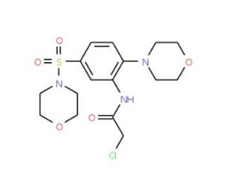 2-Chloro-N-[5-(morpholine-4-sulfonyl)-2-morpholin-4-yl-phenyl]-acetamide - chemical structure image