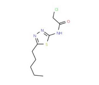 2-Chloro-N-(5-pentyl-[1,3,4]thiadiazol-2-yl)-acetamide (CAS 15777-49-8) - chemical structure image
