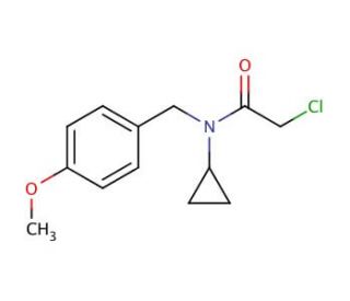 2-chloro-N-cyclopropyl-N-(4-methoxybenzyl)acetamide - chemical structure image