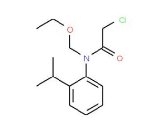 2-chloro-N-(ethoxymethyl)-N-(2-isopropylphenyl)acetamide - chemical structure image