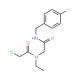 2-chloro-N-ethyl-N-{2-[(4-fluorobenzyl)amino]-2-oxoethyl}acetamide - chemical structure image
