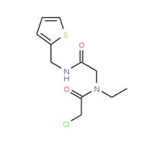 2-chloro-N-ethyl-N-{2-oxo-2-[(thien-2-ylmethyl)amino]ethyl}acetamide - chemical structure image