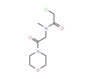 2-chloro-N-methyl-N-(2-morpholin-4-yl-2-oxoethyl)acetamide - chemical structure image