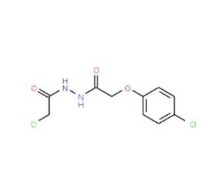 2-chloro-N&prime;-[(4-chlorophenoxy)acetyl]acetohydrazide - chemical structure image