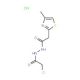 2-chloro-N′-[(4-methyl-1,3-thiazol-2-yl)acetyl]acetohydrazide hydrochloride - chemical structure image