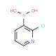 2-Chloropyridine-3-boronic acid (CAS 381248-04-0) - chemical structure image