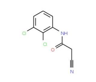 2-Cyano-N-(2,3-dichloro-phenyl)-acetamide - chemical structure image