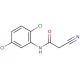 2-Cyano-N-(2,5-dichloro-phenyl)-acetamide - chemical structure image
