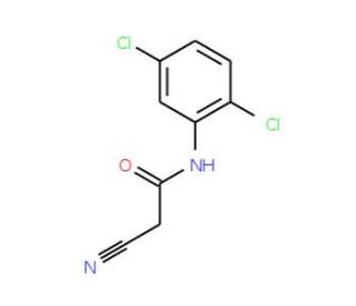 2-Cyano-N-(2,5-dichlorophenyl)acetamide - chemical structure image