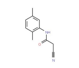 2-Cyano-N-(2,5-dimethyl-phenyl)-acetamide (CAS 87165-31-9) - chemical structure image